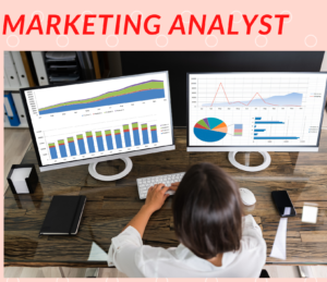Marketing Analyst Role