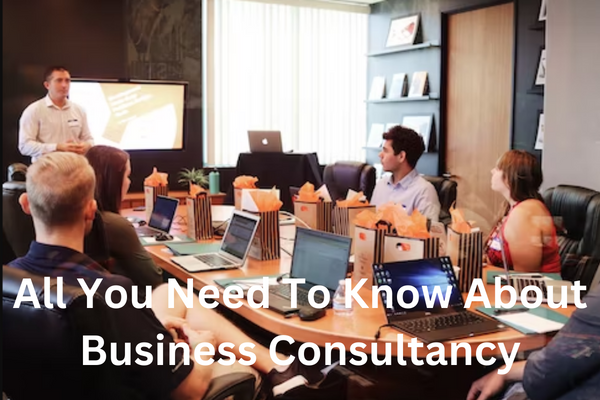 All You Need To Know About Business Consultancy