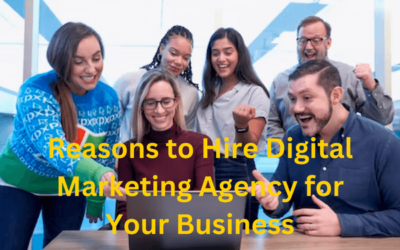 Why Do You Need Digital Marketing Agency for Your Business